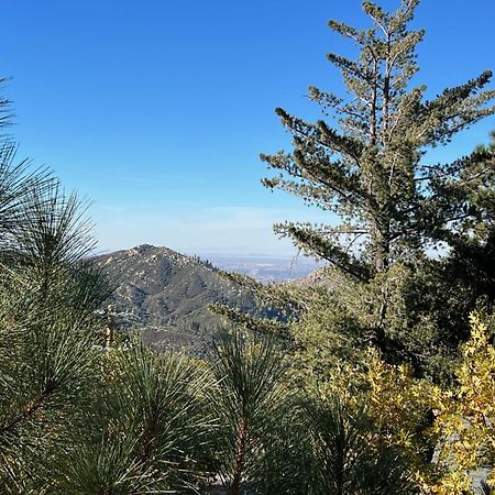 Ev Level 2, Pets Welcome At Sunset Ridge Lake Arrowhead Zewnętrze zdjęcie