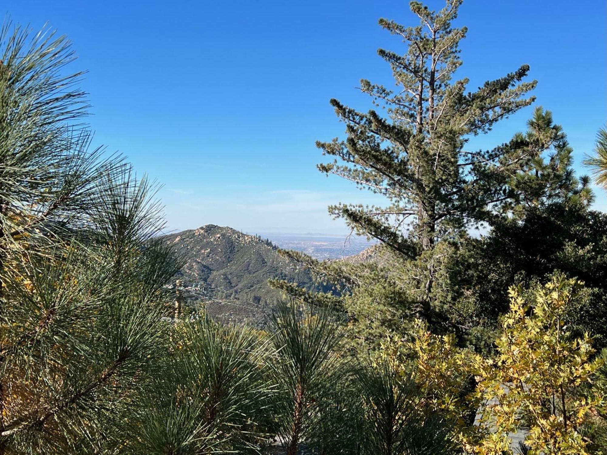 Ev Level 2, Pets Welcome At Sunset Ridge Lake Arrowhead Zewnętrze zdjęcie
